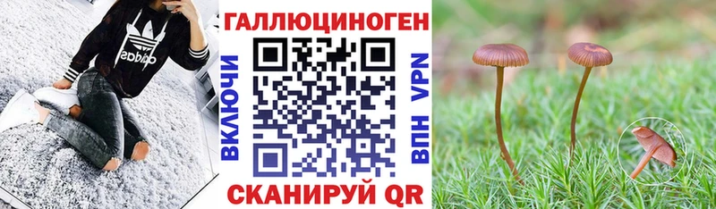 Псилоцибиновые грибы мухоморы  дарнет шоп  Советск 